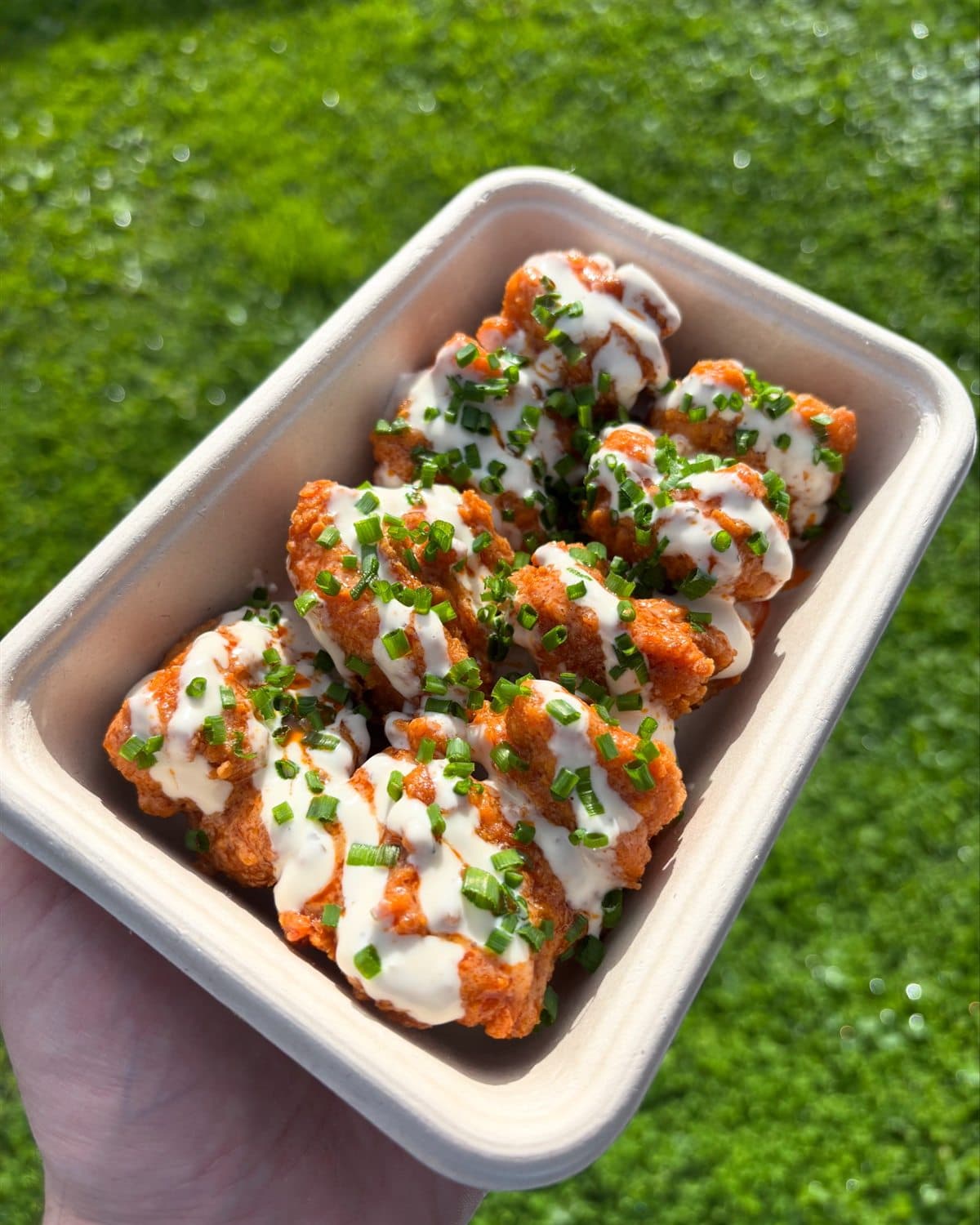 Burchie’s fried chicken with sauce and spring onion